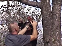 Tekintélyes didik, Fekete, Elkapott, Döci, Német, Kőkemény, Nyilvános, Mostoha