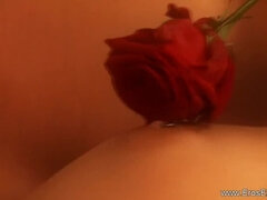 Amateur, Anal, Blonde, Sucer une bite, Érotique, Hd, Interracial, Massage