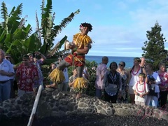 After the luau she gets a fresh creampie