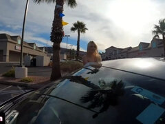 Stor pik, Hundestilling, Hd, Monster, Orgasme, Fisse, Bryster, Vibrator