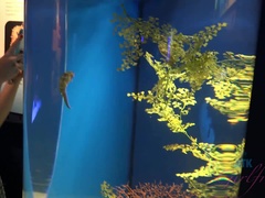 Vestido, Namorada, Saltos, Jeans, Pontos de vista, Xoxota, Saia, Tetas