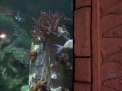 素人, 浴室, オナニー, ハメ撮り, 公共, 喫煙, 靴下, オッパイの