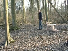 Kötözés, Angol, Gesztenyebarna, Kebles, Uralkodás, Fétis, Indiai, Érett koros