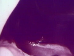 Obciąganie, Brunetka, Kompilacja, Grupa, Włochaty, Mamuśka, Mleko, Markowy