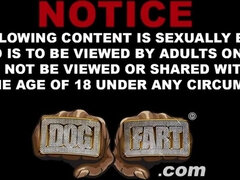 Stor pik, Blondine, Lækker, Utro, Langt ned i halsen, Pornostjerner, Trekant, Bryster