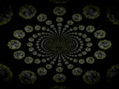 Asiatisk, Rumpa, Avsugning, Hardcore, Fitta, Tonåring, Tuttar