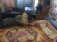 Blondína, Žena, Fetiš, Hd, Vyzlečené, Ruskej, Sólo, Webkamera