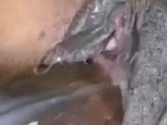 Sexy Sweet Chocolate Curvy Body with Juicy Pussy Serving the Ditch Hoty Hoty