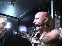 Sidonta, Alistaminen, Fetissi, Käsihoito, Itsetyydytys