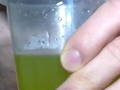 Leie, Europäisch, Solo