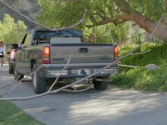 Anal, Verga grande, Mamada, Coche, Estilo perrito, Corridas faciales, Hd, Pelirrojo