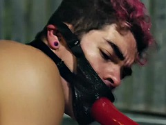 Anal, Bondage domination sadisme masochisme, Sucer une bite, Gode, Doigter, Homosexuelle, Hard, Plan cul à trois