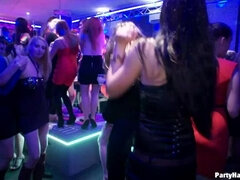 Блондинки, Группа, Секс без цензуры, Межрасовый секс, Кожа, Трусики, Чулки, Сосущие