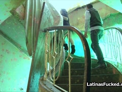 Amatööri, Perse, Perännuolu, Iso perse, Isot tissit, Suihinotto, Pillu, Todellisuus