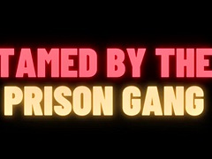 Prison Gang BDSM Gangbang with Slave Training M4M Gay Audio Story