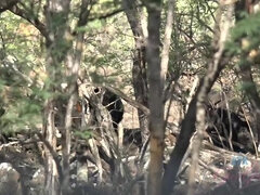 아마추어, 해변, 큰 엉덩이, 부츠, 흑갈색 머리, 여자친구, 셀카