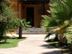 Tette grandi, Brasiliana, Tettona, Latina, All'aperto, Piercing, Leccare il buco del culo, Tatuaggi