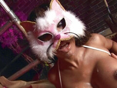 Veľký zadok, Veľké péro, Veľké kozy, Kuřba, Ebenové, Medzirasové, Výprask, Pička