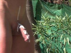 Anal, Tetas grandes, Rubia, Corridas, Europeo, Tacones, Transexual, Español