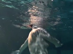 미인, 흑갈색 머리, 야외의, 풀, 러시아인, 소프트코어, 청소년, 수중