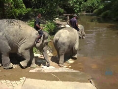 You have an epic day trip with Elena, and nothing could be better!