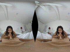 18, Store bryster, Sort, Pik sutte, Brunette, Sædskud, Imellem racer, Teenager