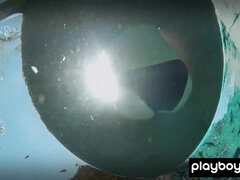 Biquine, Morena, Carrro, Ébano negroa, Mãe gostosa, Mamãe, Baixinhoa, Magrinha