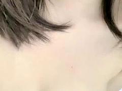 Asiáticoa, Bonitinhoa fofoa atraente, Solo chão