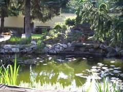 Mamada, Corridas, Pajear, Sexo duro, Madres para coger, Tetas naturales, Tetas, Esposa