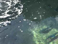 Азиатки, Пляж, Пальцем, Подружка, Латиноамериканки, Голышом, Оргазм, Пирсинг