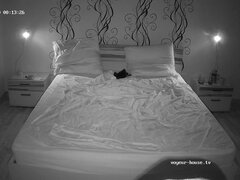 아마추어, 항문, 음경, 그룹, 대단히, 흥청망청 놀기