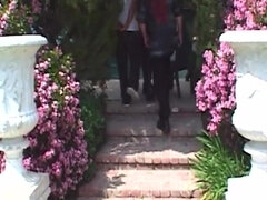 Duży tyłek, Obciąganie, Brunetka, Podwójna penetracja, Orgia