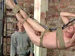 Nasty, hanged, lubricate