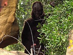 アメリカ人, 黒人, 気狂い, 浮気する, 旦那, 異人種間, アウトドア, 妻