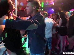 Mamada, Club, Bailar, Grupo, Sexo duro, Hd, Orgía, Fiesta