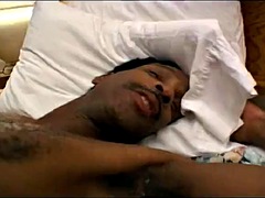 Kotě, Černé, Brunetka, Ebenové, Botou