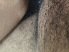 Anaali, Perse, Pariskunta, Kotitekoinen, Intialainen