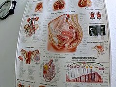 Дилдо, Европейки, Немки, Хд, Милф, Натуральные сиськи, Киски, Развязные
