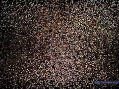 Amatéři, Americké, Pohovor, Kuřba, Vysokoškoláci, Jezdectví, Kozičky