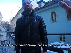 Rumpe, Vakker, Store pupper, Cougar, Hanrei, Runke, Hd, Realitet