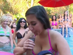Horny teens suck strippers' dicks at outdoor pool party