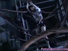 18 χρονον, Ασιάτης, Μελαχροινή, Τρελός, Ιάπωνας, Τέρας, Έφηβος, Πλοκάμι