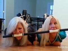 Любители, Садо мазо, Большая жопа, Блондинки, Бондаж, Сиськи, Игрушки, Вебкамера