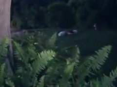 Traseiro, Beleza, Garganta funda, Grupo, Lésbica, Mamilos, Tetas