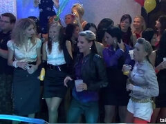 Veľké péro, V oblečení, Klub, Skupina, Hardcore, Orgie, Stockings, Fajka  sanie