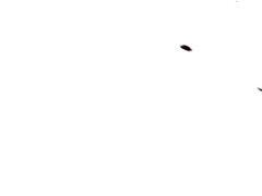 Anal, Dominación, Hembra, Humillación, Público, Castigada, Sexo fuerte, Esclavo