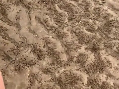 Tetas grandes, Erótico, Despelote, Madres para coger, Desnudo, Al aire libre, Tetas, Esposa