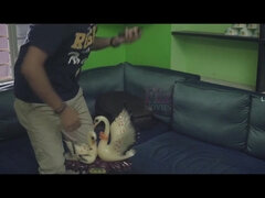 Hindi Darkhaired Babe Amazing Erotic Video