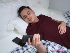 Amatéri, Veľké péro, Čierne, Kuřba, Hardcore, Milf  mčbp, Pobehlica, Nevlastná mama