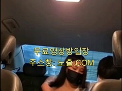 Simple solution in the car 2 korea domestic porn korean korean porn asian free porn